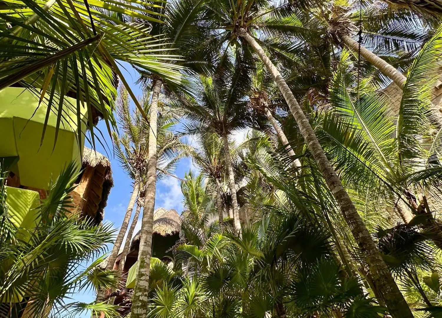 Hotel Suenos Tulum